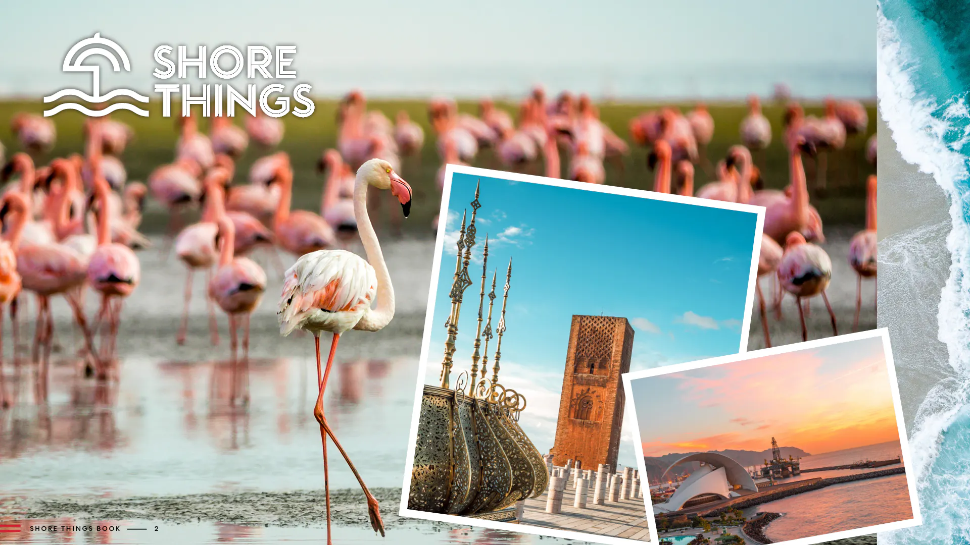 Shore Things Brochure